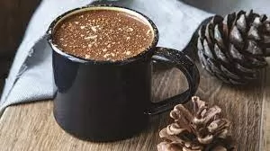 ÇİKOLATALI SALEP